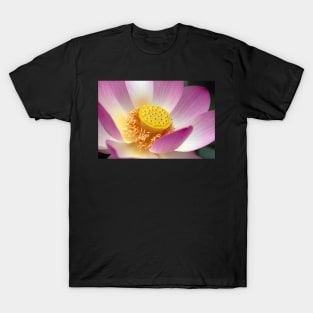 Lotus T-Shirt